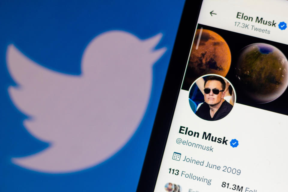 the official profile of Elon Musk on the social network Twitter. 