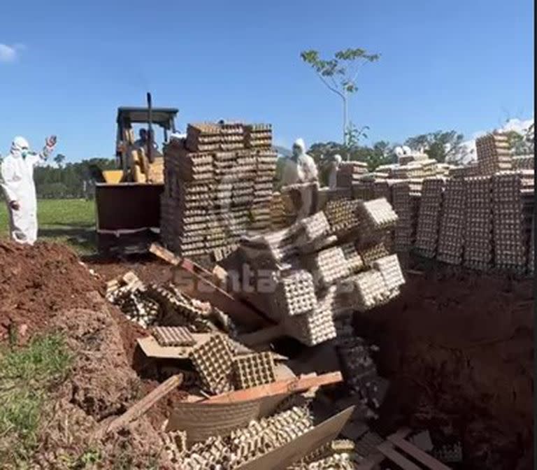 Captura del video que Avícola Santa Ana difundió de la destrucción de huevos