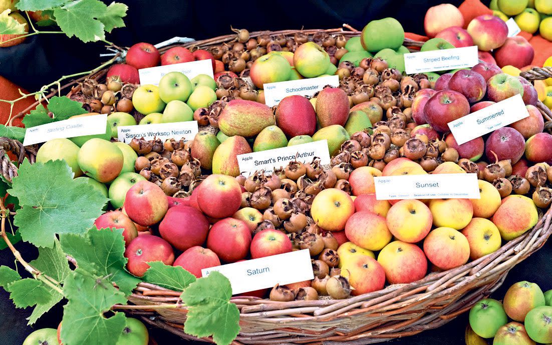 Apple festivals crop up around this time of year and are a perfect opportunity to try different varieties - Alamy Stock Photo