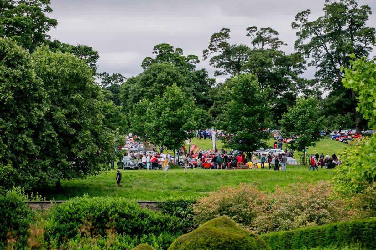 Raby Castle Classic Car Show <i>(Image: Sarah Caldecott)</i>