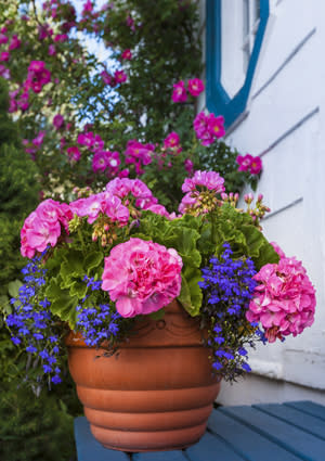 DIY Self-Water Planter - Terra Cotta Container