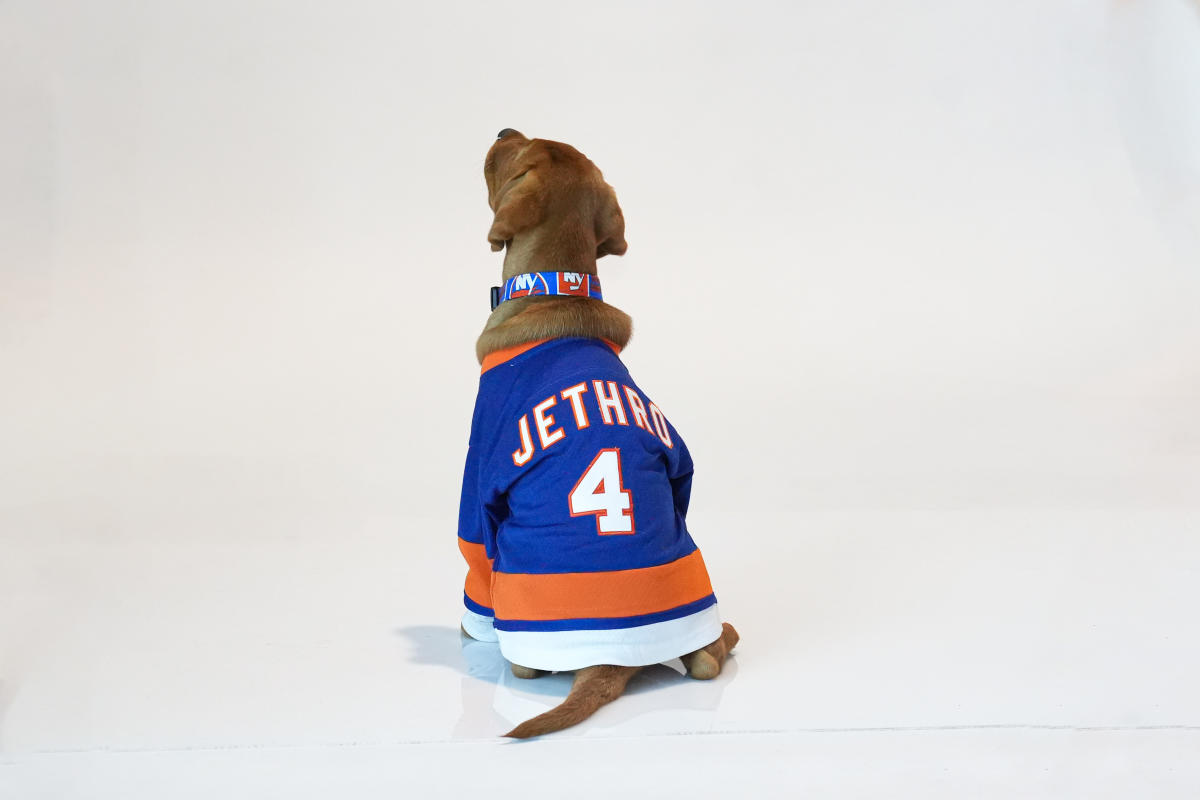 NY Islanders Team Up With Guide Dog Foundation to Raise Third
