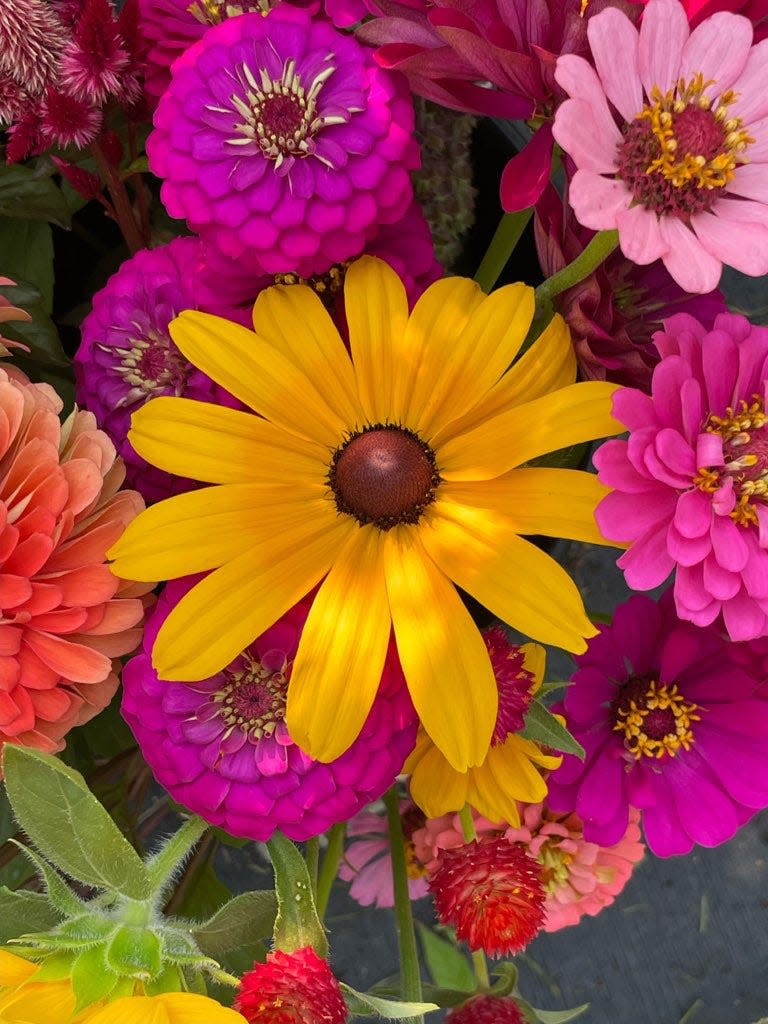 The native plant Black-eyed Susan can be mixed with other cut flowers like zinnias and gomphrena to make colorful summer bouquets that stand up to the Mississippi heat.