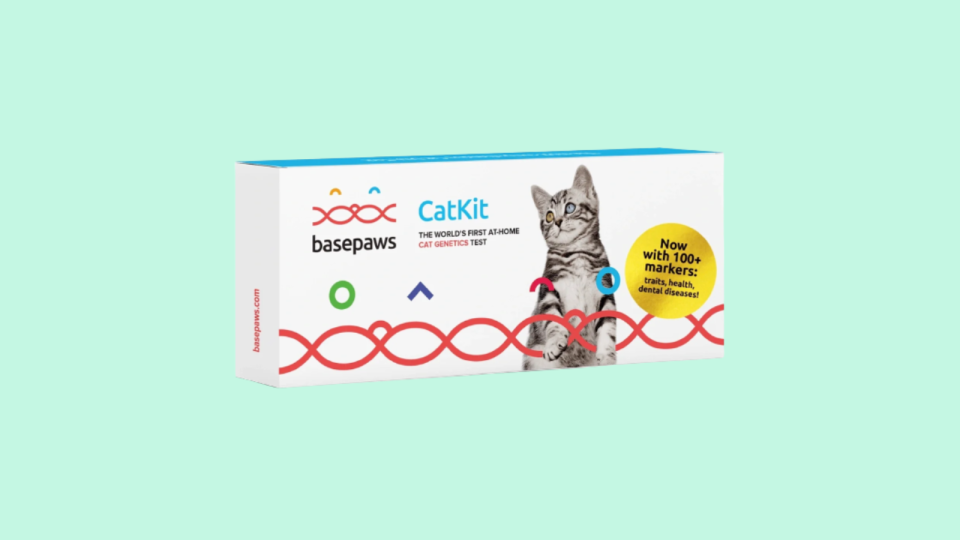 DNA testing, now for cats.