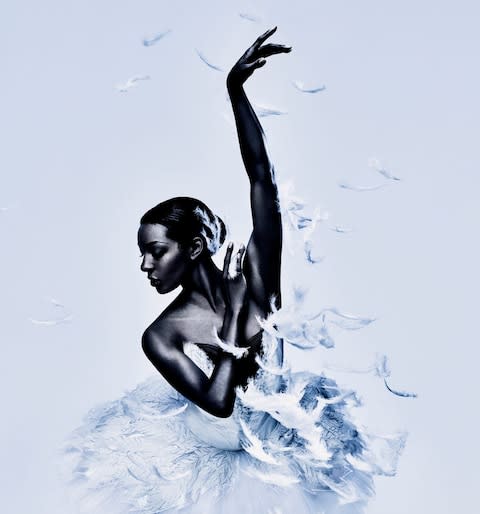 Precious Adams performed in Swan Lake for the English National Ballet - Credit: Jason Bell