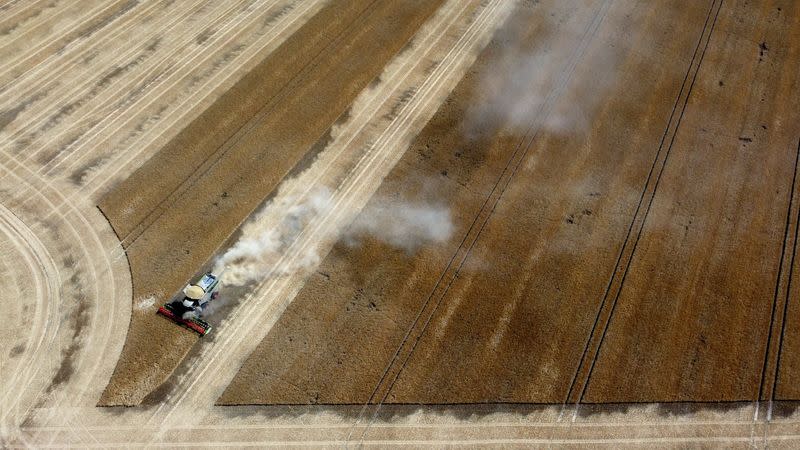 An aerial view of the harvest during the heatwave in Scampton