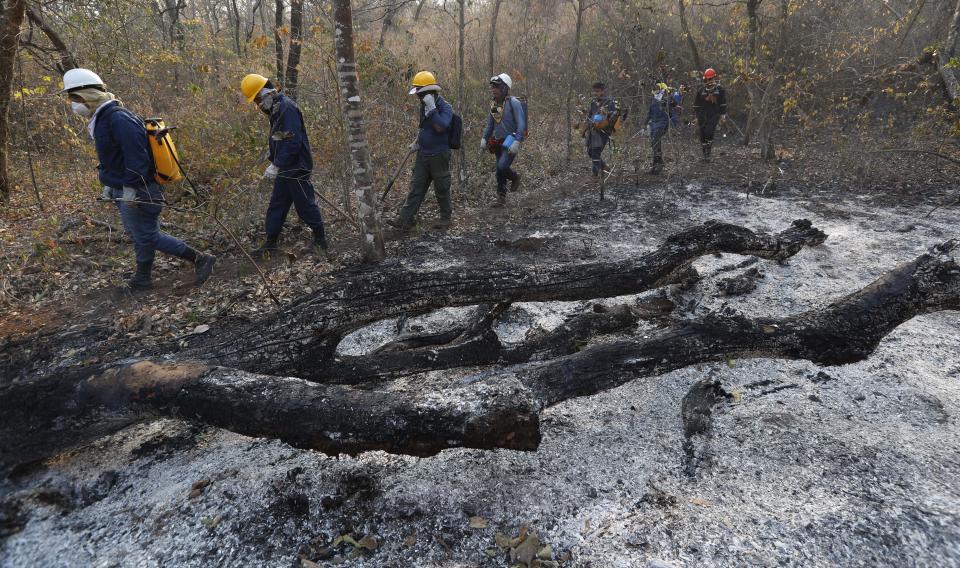 Volunteers walk past an area scorched by fires in the Chiquitania forest on the outskirts of Robore, Bolivia, Thursday, Aug. 29, 2019. While some of the fires are burning in Bolivia's share of the Amazon, the largest blazes were in the Chiquitania region of southeastern Bolivia. It's zone of dry forest, farmland and open prairies that has seen an expansion of farming and ranching in recent years. (AP Photo/Juan Karita)