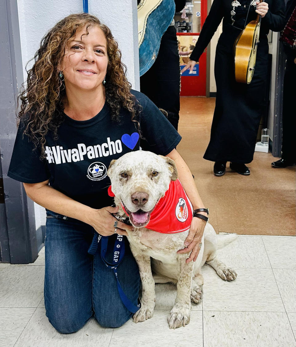 Pancho the dog (Courtesy Mattie Allen of Española Humane )