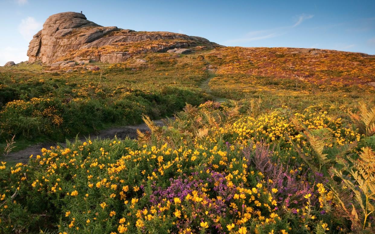 Dartmoor National Park is a 365 square-mile wilderness of wild moors, wooded glades, fairy-tale castles, cute villages and ancient hamlets - Moorefam