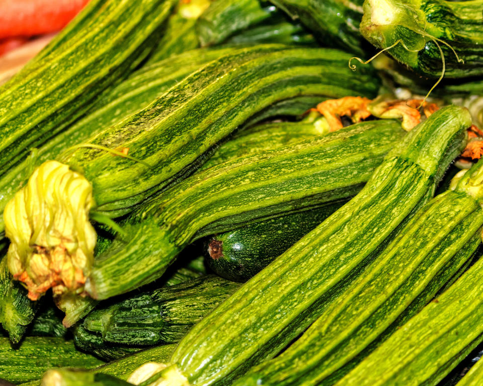 Harvested Costata Romanesco zucchinis