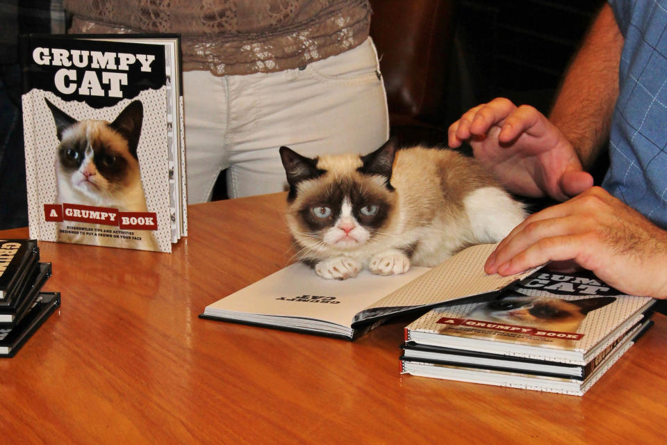 Grumpy Cat does not look impressed at her book signing in Los Angeles. (Credit: AKM-GSI)