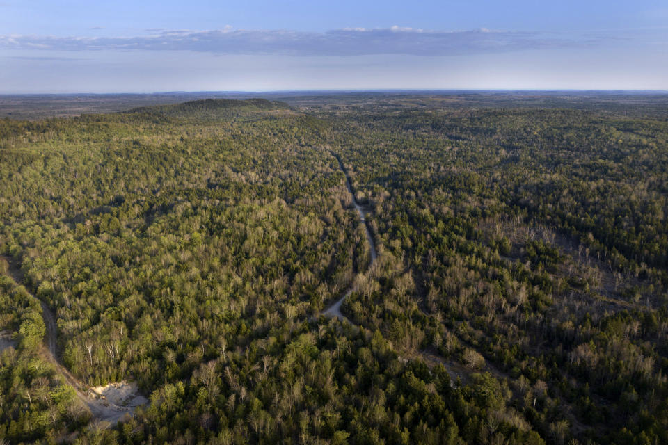 Woodlands stretch across the landscape near the site of a proposed largest-in-the-world flagpole, near Columbia Falls, Maine, Thursday, April 27, 2023. (AP Photo/Rodrique Ngowi)