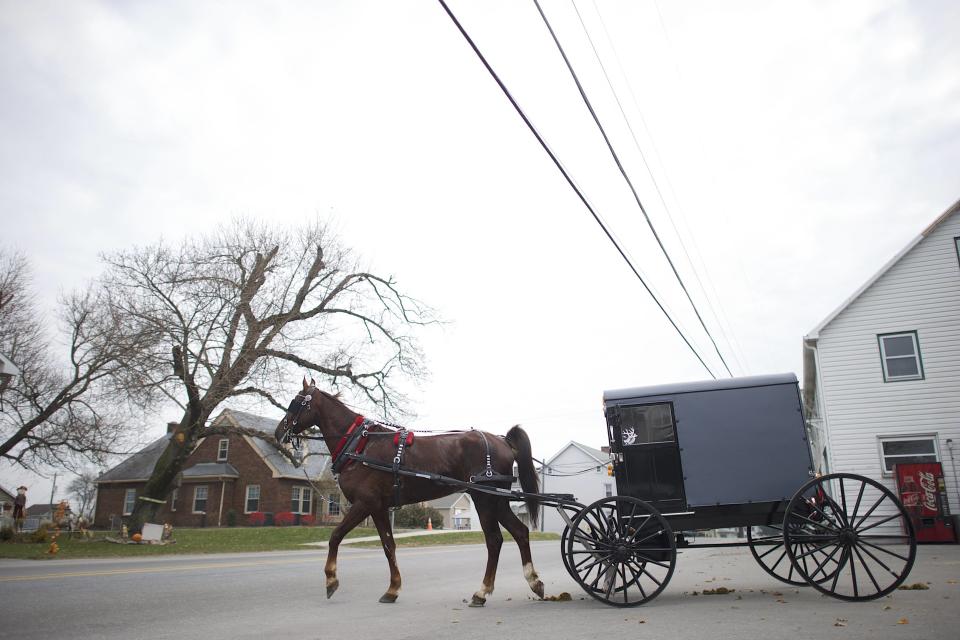 An Amish horse and buggy travels on a road in Bart Township