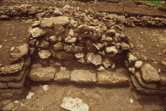 The Maya council house had two altars, each of which originally had a sculpted turtle on it.