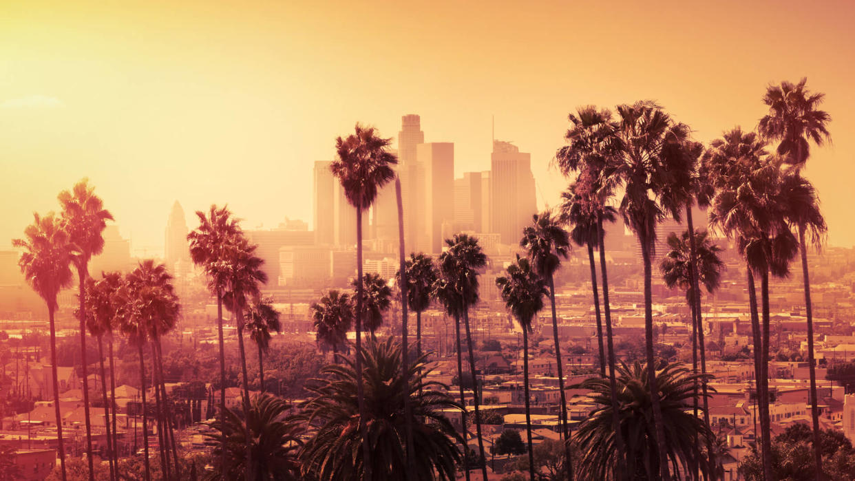 Beautiful sunset of Los Angeles downtown skyline and palm trees in foreground.