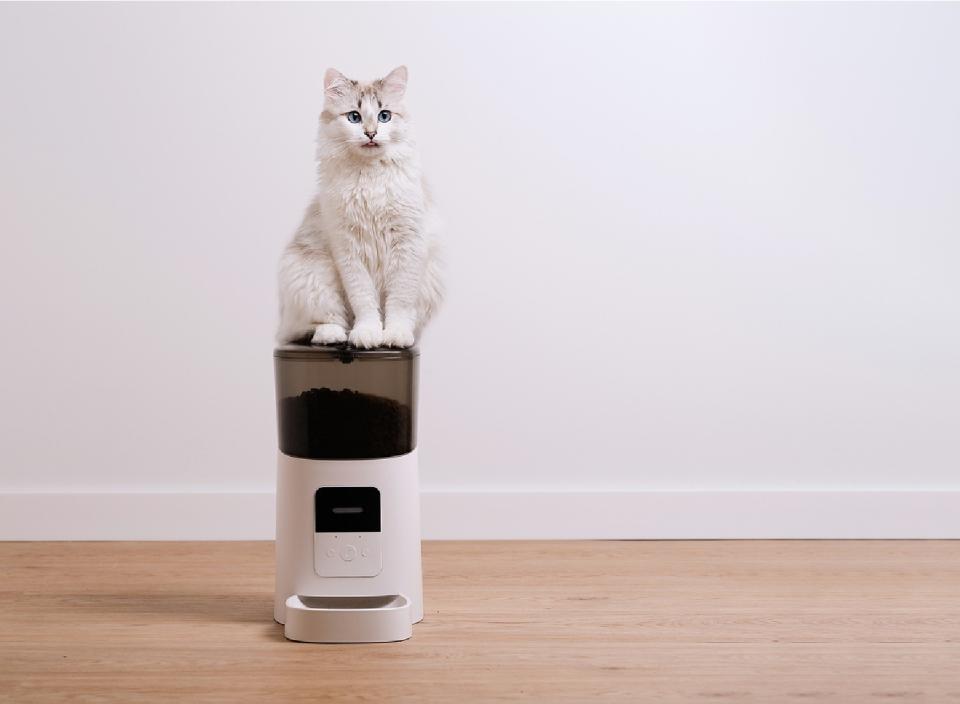 This automatic pet feeder will ensure your pet gets fed on time every day. (Source: iStock)