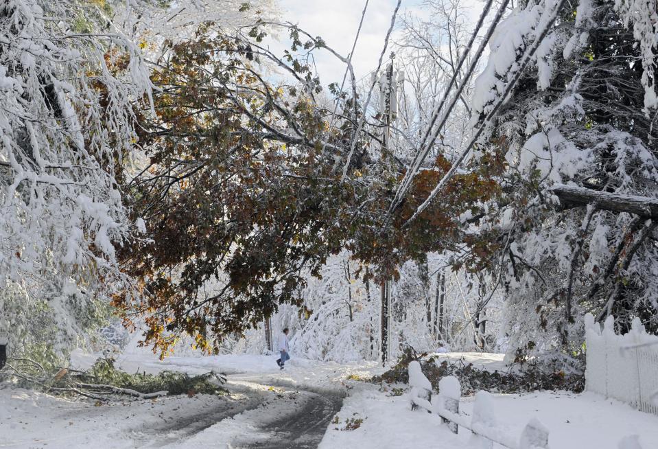 FILE -- In this Oct. 30, 2011 file photo, a man walks near a tree down on a power line a day after a snow storm in Glastonbury, Conn. Global warming is rapidly turning America into a stormy and dangerous place, with rising seas and disasters upending lives from flood-stricken Florida to the wildfire-ravaged West, the National Climate Assessment concluded Tuesday, May 6, 2014. (AP Photo/Jessica Hill, File)