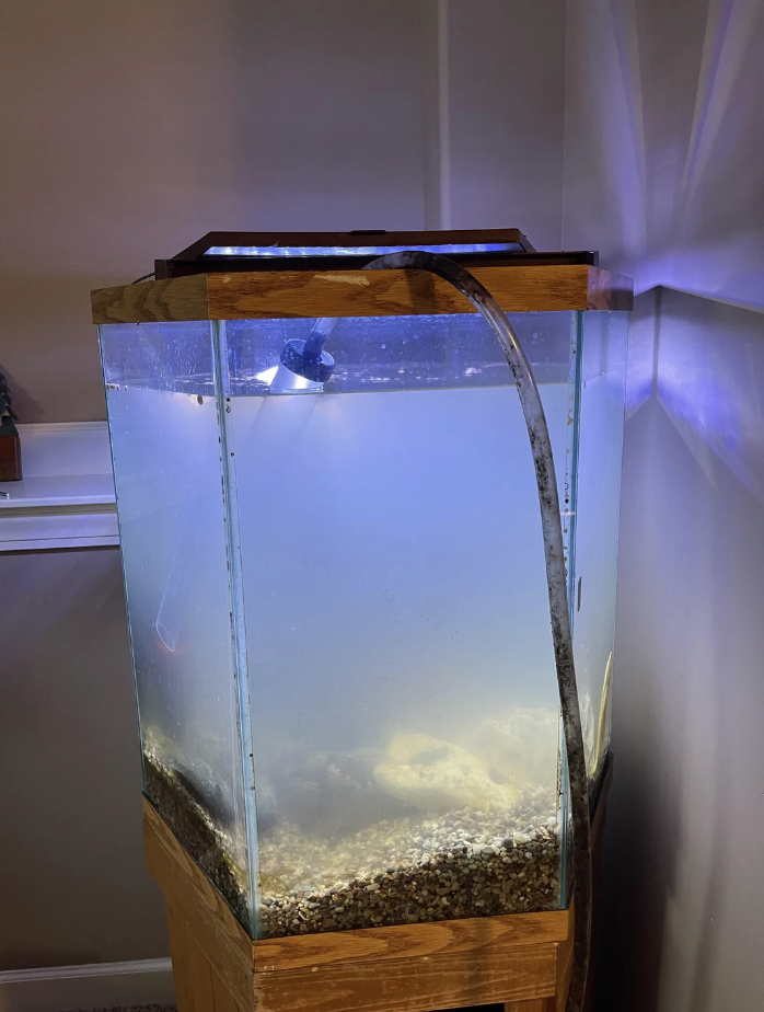 An aquarium filled with water and rocks at the bottom, with a light inside. A hose is attached to the tank's top edge. Room walls visible in the background
