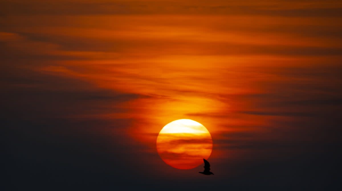 Climate change is pushing up summer temperatures and the UK urgently needs to adapt to a future with more heatwaves, experts have warned (Peter Byrne/PA) (PA Archive)