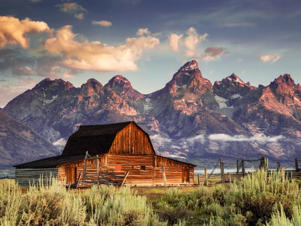 jackson hole