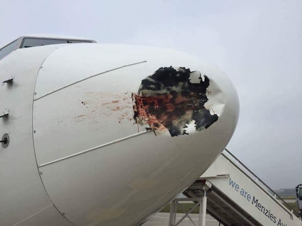 Hole in plane after bird strike at Heathrow Airport