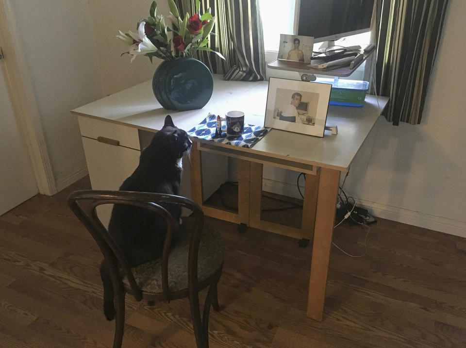 This Friday, June 28, 2019, photo provided by Antiwar.com shows its co-founder Justin Raimondo's cat, Mina, looking toward a photograph of Justin, sitting at his home desk in Sebastopol, Calif. Raimondo, a longtime gay rights advocate and antiwar activist, has died. He was 67. Friend Eric Garris said Sunday, June 30, 2019, that Raimondo died Thursday, June 27, after battling lung cancer. (Yoshinori Abe via AP)