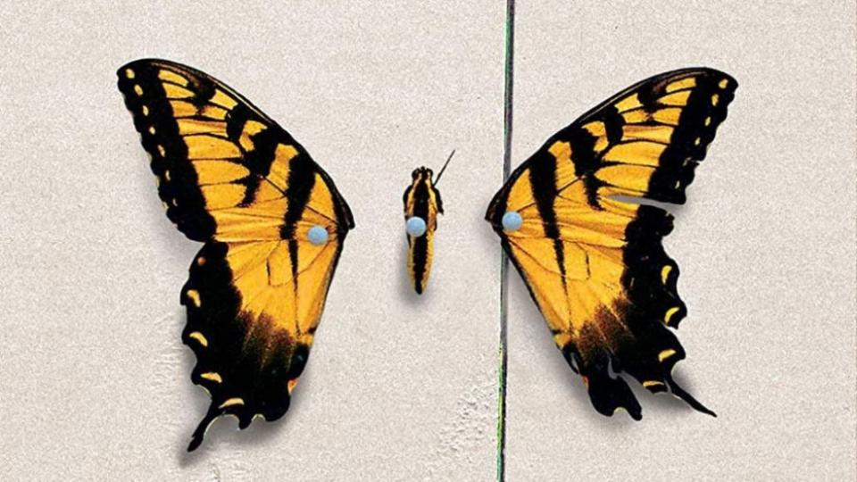 Paramore Dissected Brand New Eyes 2009 Album Cover