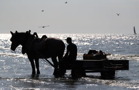 A Belgian shrimp fisherman waits in the coastal town of Oostduinkerke