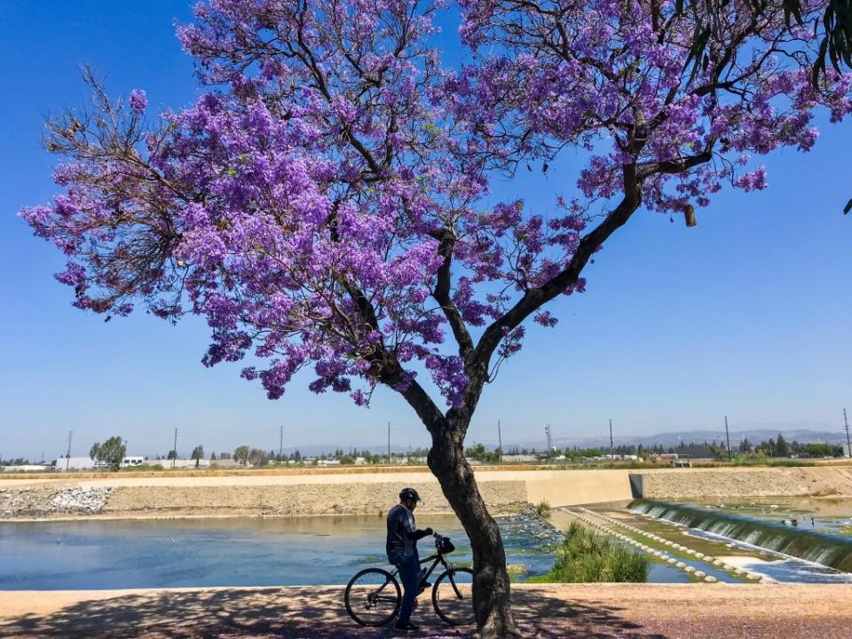 Santa Ana River Tail via Getty Images)