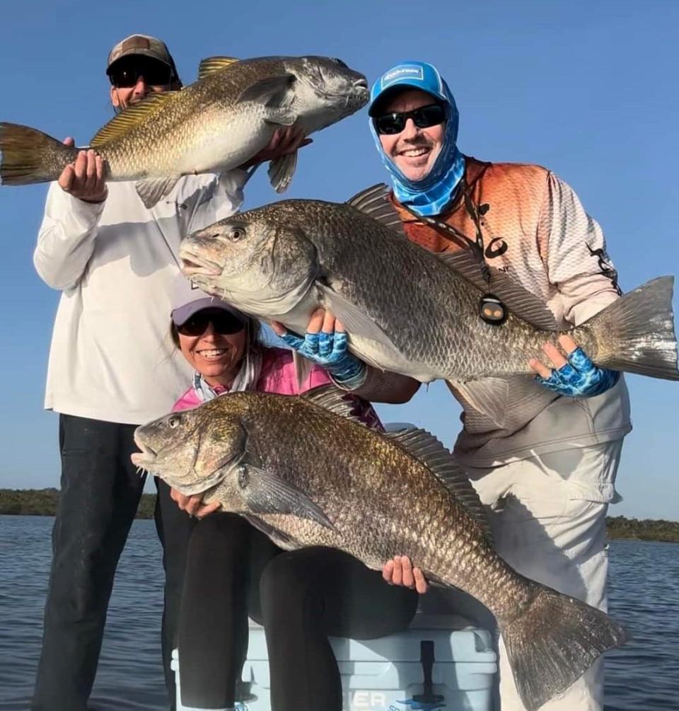 These black drum, caught and released Jan. 1, 2023, can be found in schools in the northern lagoon system.