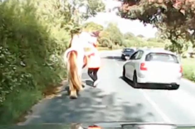 Speeding driver narrowly avoids crash while overtaking a horse