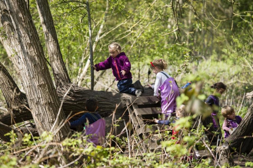 Children from two to five spend all day in the great outdoors, getting dirty, climbing trees and napping under canvas (Alex Lentati)