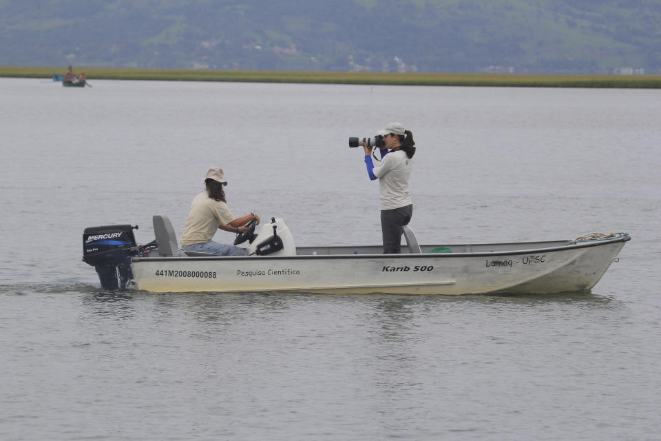 In this 2019 photo provided by Oregon State University, researchers use digital cameras to photograph the dolphin's dorsal fin, which can be distinguished from one individual to another. In the seaside city of Laguna, Brazil, scientists have, for the first time, used drones, underwater sound recordings and other tools to document how people and dolphins coordinate actions and benefit from each other’s labor. The research was published Monday, Jan. 30, 2023, in the Proceedings of the National Academy of Sciences. (Alexandre Machado/Universidade Federal de Santa Catarina via AP)