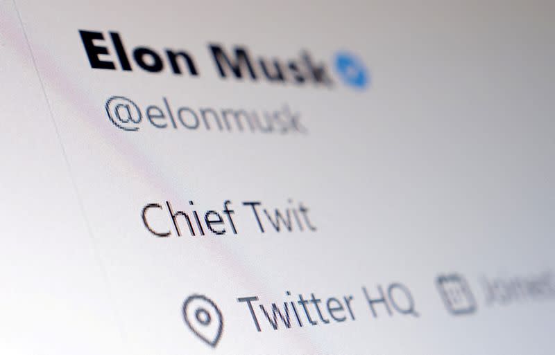 FILE PHOTO: Illustration Elon Musk Twitter account