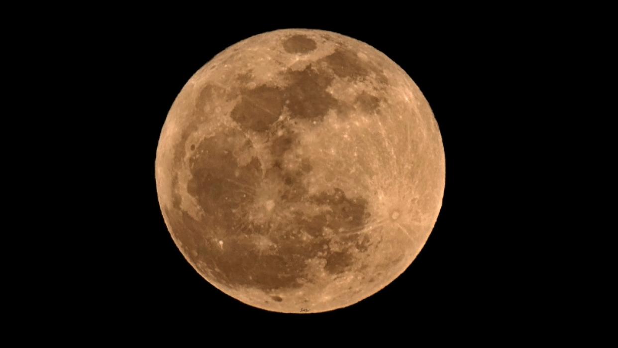 <div>Dr. Kohinoor Kar from ASU captured this photo of the Pink Moon on Tuesday night.</div>