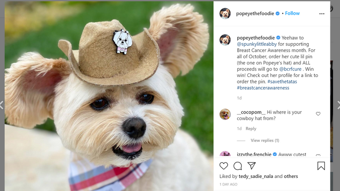 Popeye the Foodie Dog (@popeyethefoodie) Instagram