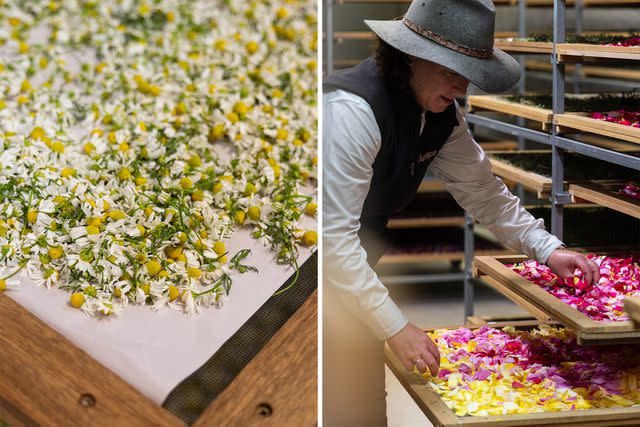 <p>Sia Duff</p> From left: Chamomile flowers being dried at Jurlique; Cherie Hutchinson, a farm manager at Jurlique, inspecting the flowers.