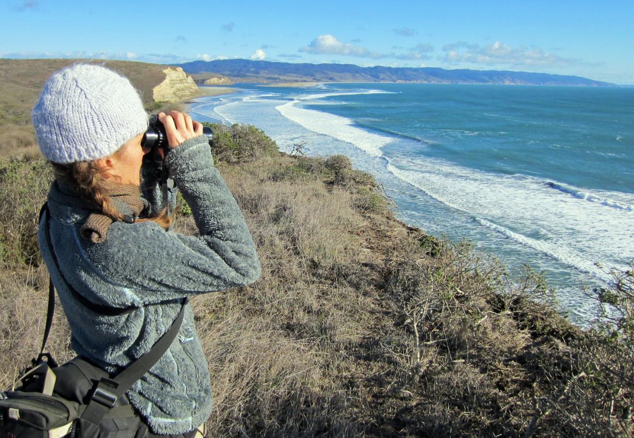 <span class="caption">A volunteer looks for waterbirds at Point Reyes National Seashore in California during the National Audubon Society's annual Christmas Bird Count.</span> <span class="attribution"><a class="link " href="https://flic.kr/p/Cfe8RK" rel="nofollow noopener" target="_blank" data-ylk="slk:Kerry W/Flickr;elm:context_link;itc:0;sec:content-canvas">Kerry W/Flickr</a>, <a class="link " href="http://creativecommons.org/licenses/by/4.0/" rel="nofollow noopener" target="_blank" data-ylk="slk:CC BY;elm:context_link;itc:0;sec:content-canvas">CC BY</a></span>