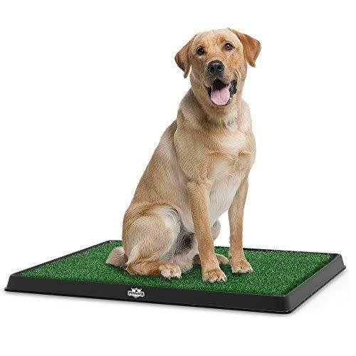 5) Artificial Grass Puppy Pee Pad