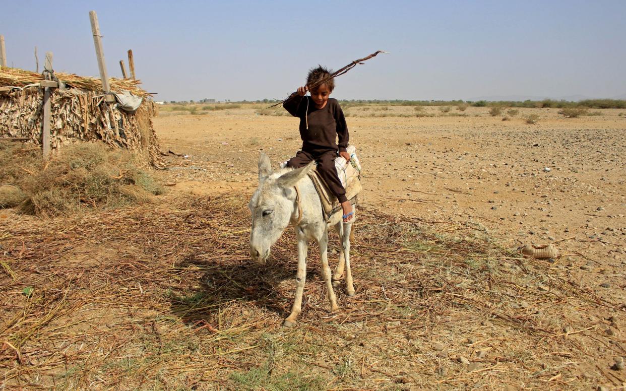 A malnourished boy on the back of a donkey in Hajjah province, Yemen - Eissa Alragehi/Reuters