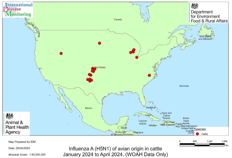 Map showing influenza A (H5N1) outbreaks and cases in cattle in the Americas (locations
are approximate). (Defra)