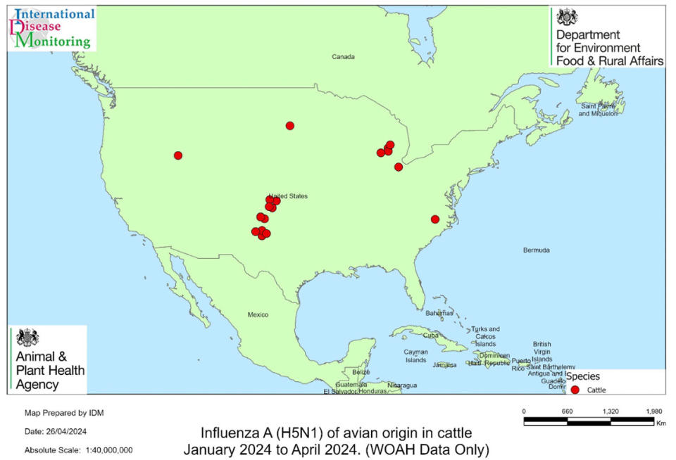 Map showing outbreaks and cases of influenza A (H5N1) in cattle in the Americas (locations are approximate).  (Defra)