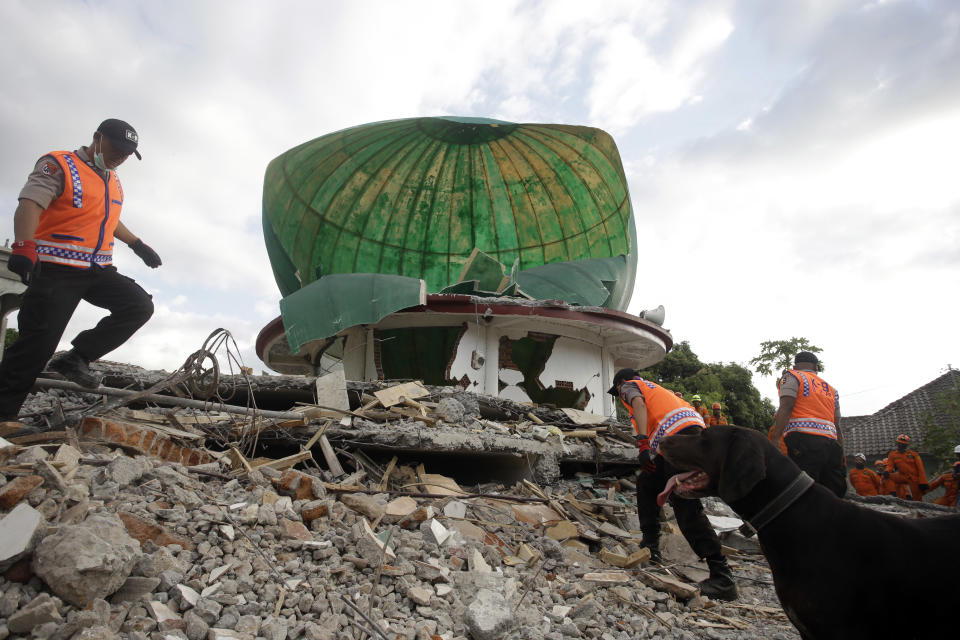 Rescuers with sniffer dog search for victims at a mosque damaged by an earthquake in North Lombok, Indonesia, Tuesday, Aug. 7, 2018. Thousands of people left homeless sheltered Monday night in makeshift tents following a powerful quake that ruptured roads and flattened buildings on the Indonesian tourist island of Lombok, as authorities said rescuers hadn't yet reached all devastated areas. (AP Photo/Firdia Lisnawati)