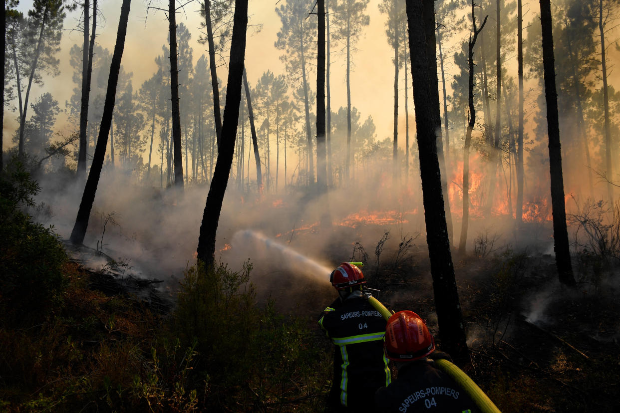 Un feu de forêt dans le Var, attisé par un vent violent, a déjà parcouru 600 hectares ce mardi 11 juin en fin de journée. (Photo d’illustration : feu à Vidauban, Var en août 2021) 