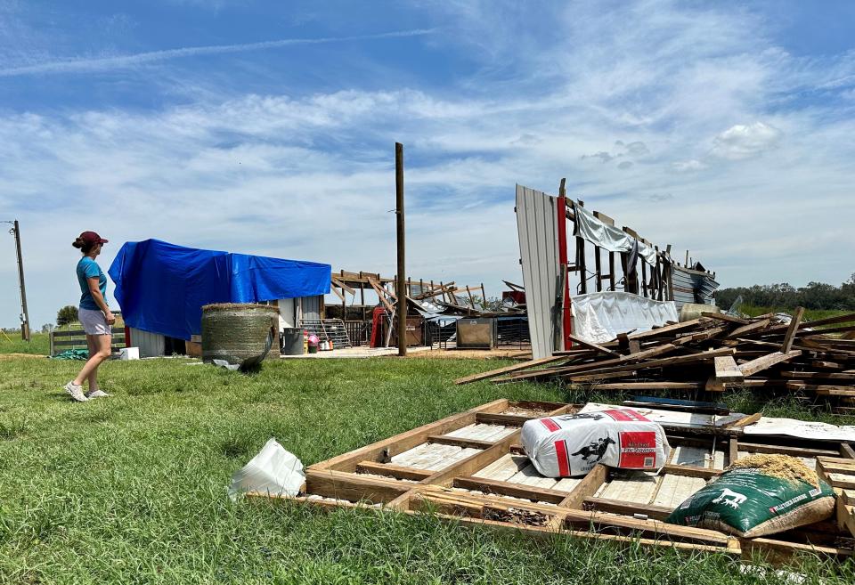 Tori Lyons tours the damage at Lyons Show Pigs in Lafayette County, Florida, on Tuesday, Sept. 5, 2023. The hurricane wrecked barns and other structures on the 100-acre property.