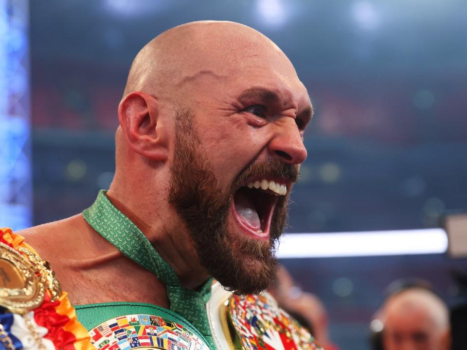 Tyson Fury knocked out Dillian Whyte in April to remain WBC heavyweight champion (Getty Images)