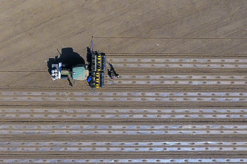 Foto dari udara yang diabadikan pada 19 April 2019 ini menunjukkan mesin penyemai benih nirawak yang dilengkapi dengan sistem satelit navigasi Beidou yang beroperasi di sebuah ladang kapas di Daerah Otonom Uighur Xinjiang, China barat laut. (Xinhua/Wang Fei