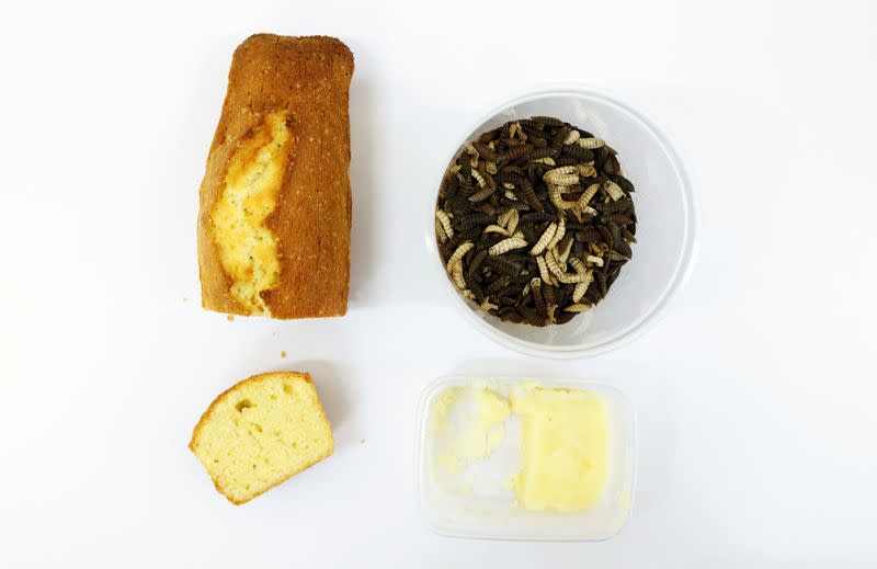 Black soldier fly larvae and a piece of cake are displayed next to extracted fat at Ghent University