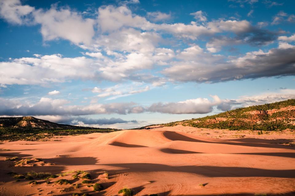 Coral Pink Sand Dunes near St. George, Utah