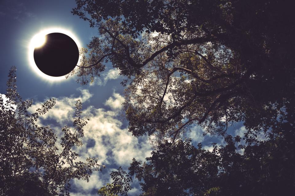 Image of a diamond ring during a total solar eclipse.